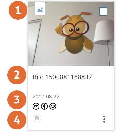 einzel_ergebnis_en.png