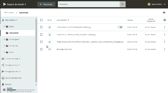 edit_info_multi.gif