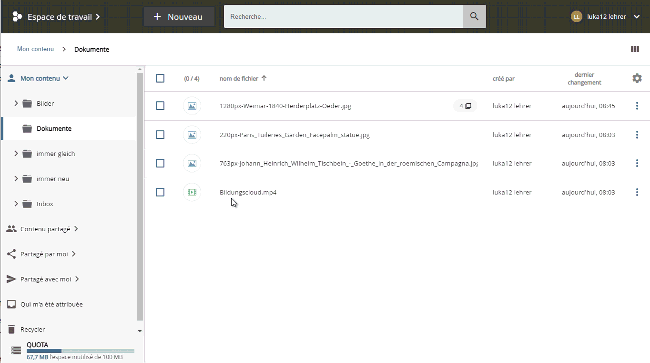 multiedit.gif