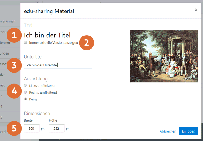 wysiwyg_einfügen_de.gif