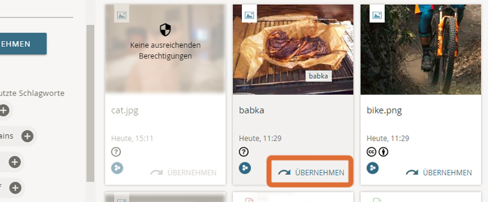 uebernehmen_moodle_de.png
